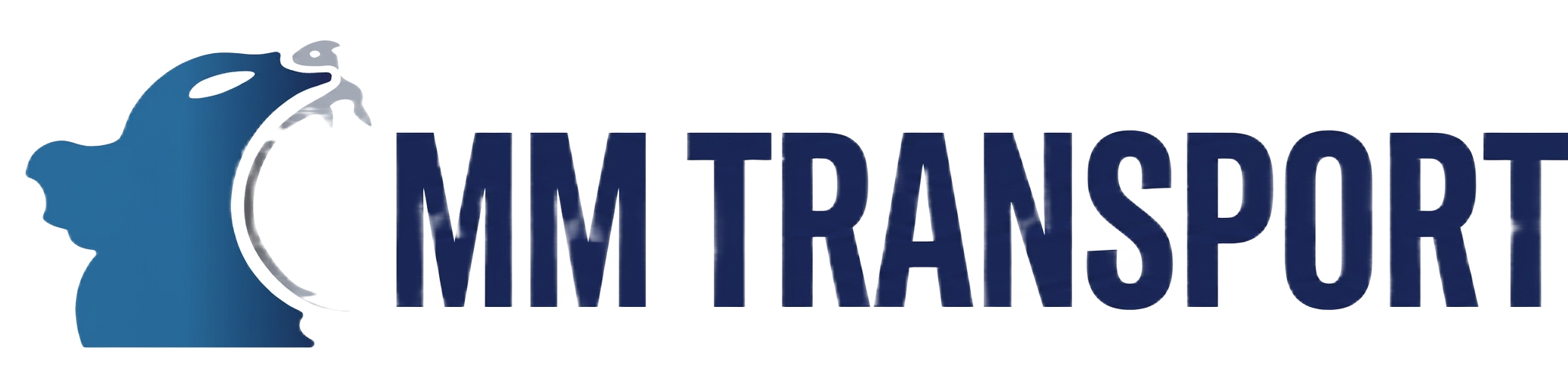 MM Transport